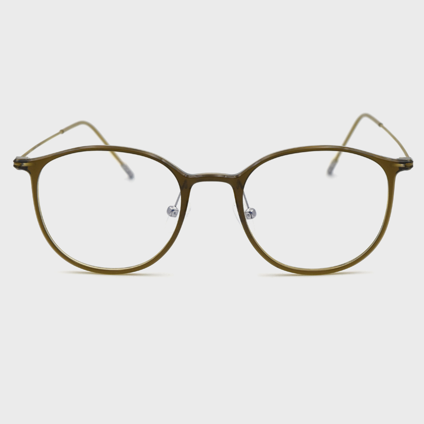 οο R EYE 261 OLZ ģȯ 